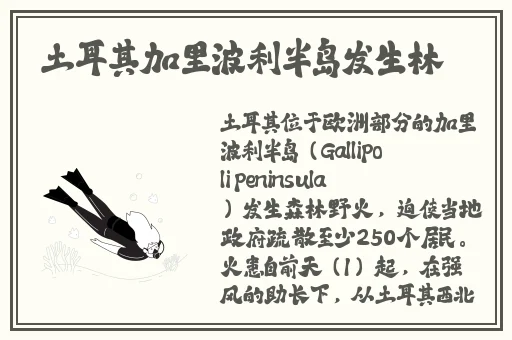 草莓榴莲向日葵
